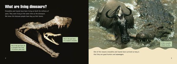 Produktbild: Living Dinosaurs