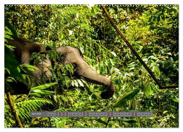 Produktbild: Entdecke Sumatra (hochwertiger Premium Wandkalender 2026 DIN A2 quer), Kunstdruck in Hochglanz