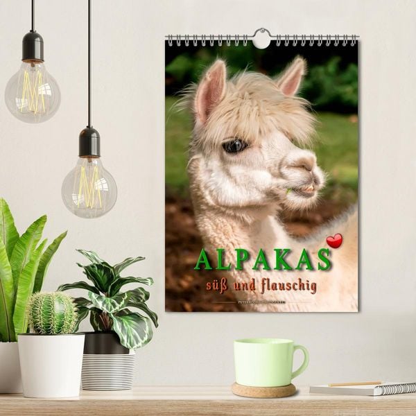 Produktbild: Alpakas - s&uuml;&szlig; und flauschig (Wandkalender 2026 DIN A4 hoch), CALVENDO Monatskalender
