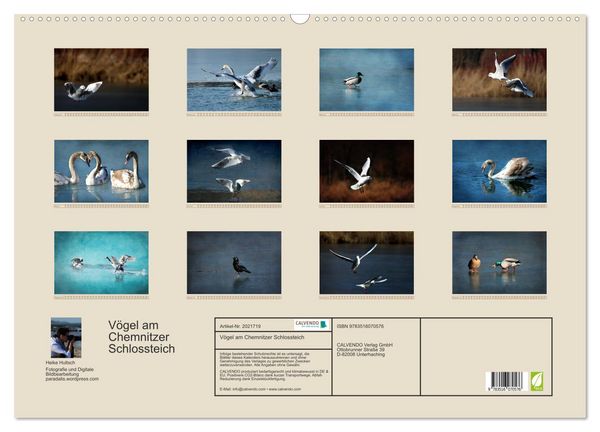 Produktbild: V&ouml;gel am Chemnitzer Schlossteich (Wandkalender 2026 DIN A2 quer), CALVENDO Monatskalender