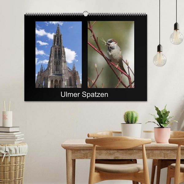 Produktbild: Ulmer Spatzen (Wandkalender 2026 DIN A2 quer), CALVENDO Monatskalender