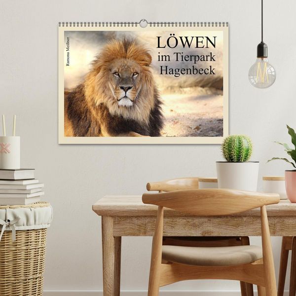 Produktbild: L&ouml;wen im Tierpark Hagenbeck (Wandkalender 2026 DIN A3 quer), CALVENDO Monatskalender