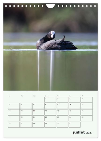 Produktbild: Le monde intime des oiseaux (Calendrier mural 2027 DIN A4 horizontal), CALVENDO calendrier mensuel