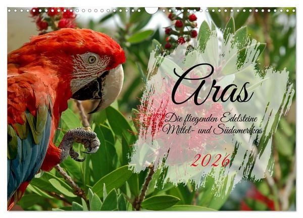 Produktbild: Aras - die fliegenden Edelsteine Mittel- und S&uuml;damerikas (Wandkalender 2026 DIN A3 quer), CALVENDO Monatskalender