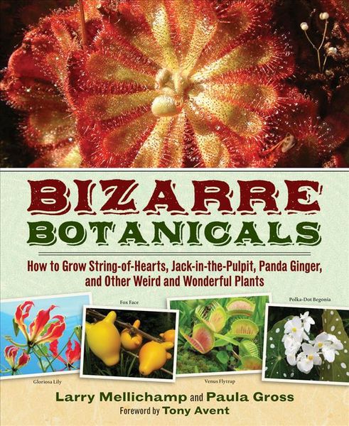 Produktbild: Bizarre Botanicals