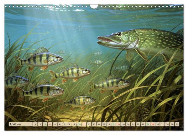 Produktbild: Barsche im See (Wandkalender 2027 DIN A3 quer), CALVENDO Monatskalender