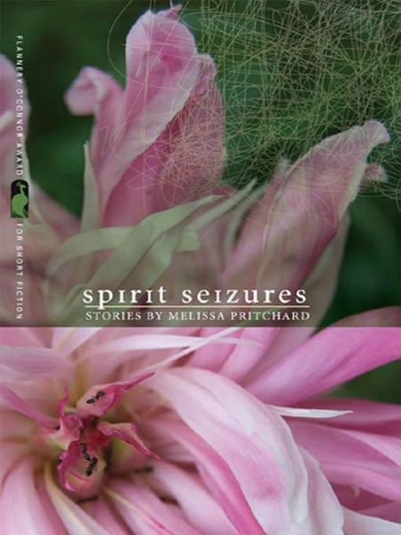Produktbild: Spirit Seizures