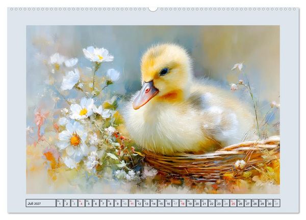 Produktbild: G&auml;nse. Geselliges Schnattern in der Natur (hochwertiger Premium Wandkalender 2027 DIN A2 quer), Kunstdruck in Hochglanz