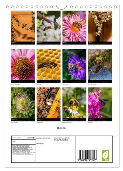 Produktbild: Bienen (Wandkalender 2026 DIN A4 hoch), CALVENDO Monatskalender