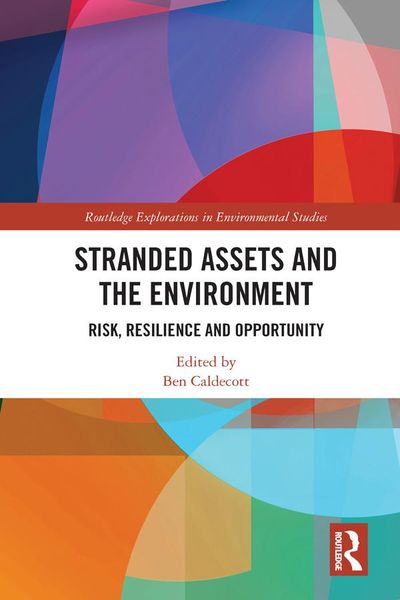 Produktbild: Stranded Assets and the Environment