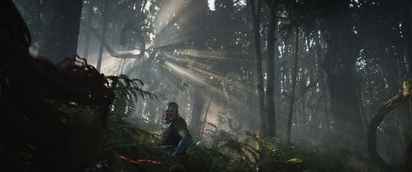 Produktbild: Predator: Badlands