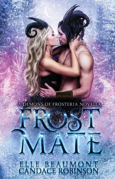 Produktbild: Frost Mate