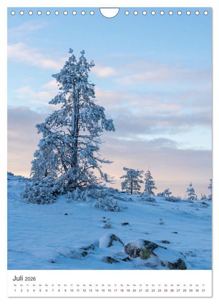 Produktbild: Winter in Lappland - Bezaubernde Sch&ouml;nheit (Wandkalender 2026 DIN A4 hoch), CALVENDO Monatskalender