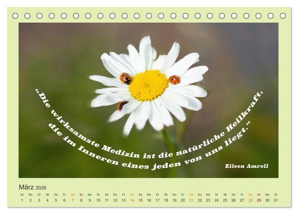 Produktbild: Co-Kreation, Gemeinsam Wunder erschaffen (Tischkalender 2026 DIN A5 quer), CALVENDO Monatskalender
