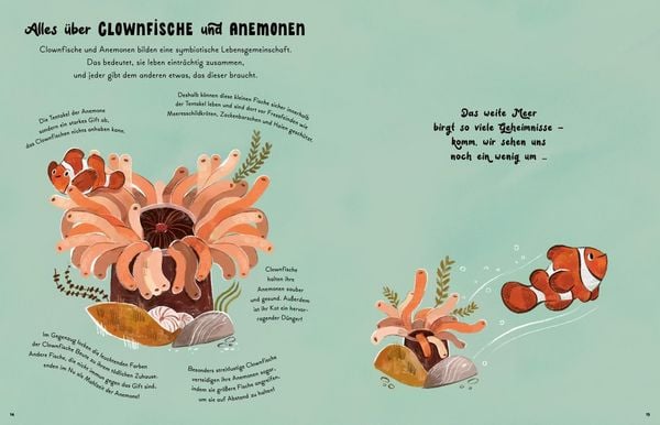 Produktbild: Kleine und gro&szlig;e Wunder der Meere