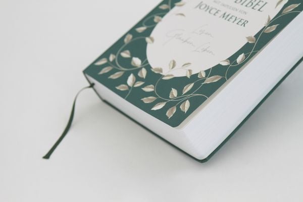 Produktbild: Die Bibel mit Impulsen von Joyce Meyer