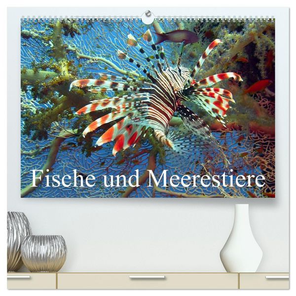 Fische und Meerestiere (hochwertiger Premium Wandkalender 2026 DIN A2 quer), Kunstdruck in Hochglanz