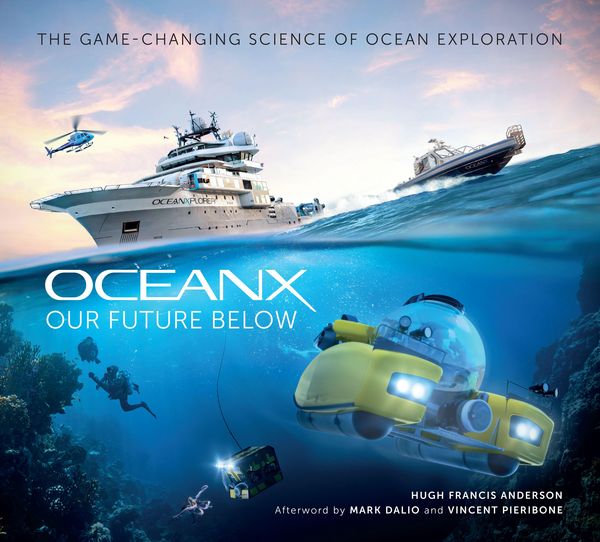 Produktbild: Our Future Below