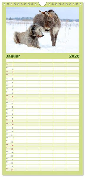 Produktbild: Familienplaner 2026 - Das Esel-Paradies - Hunde und andere Feunde mit 5 Spalten (Wandkalender, 21 x 45 cm) CALVENDO