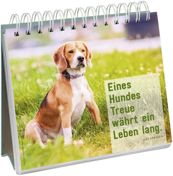 Produktbild: F&uuml;r Hundefreunde