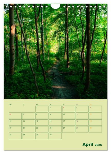 Produktbild: Wald- und Wiesenkalender 2026 Planer (Wandkalender 2026 DIN A4 hoch), CALVENDO Monatskalender