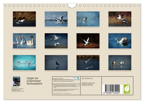 Produktbild: V&ouml;gel am Chemnitzer Schlossteich (Wandkalender 2027 DIN A4 quer), CALVENDO Monatskalender