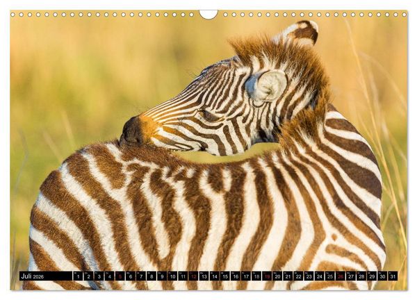 Produktbild: Masai Mara 2026 (Wandkalender 2026 DIN A3 quer), CALVENDO Monatskalender