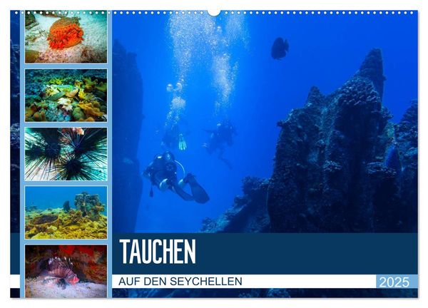 Tauchen auf den Sychellen (Wandkalender 2025 DIN A2 quer), CALVENDO Monatskalender