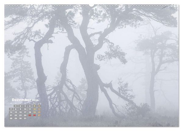 Produktbild: Naturschauspiele in Schottland (hochwertiger Premium Wandkalender 2026 DIN A2 quer), Kunstdruck in Hochglanz