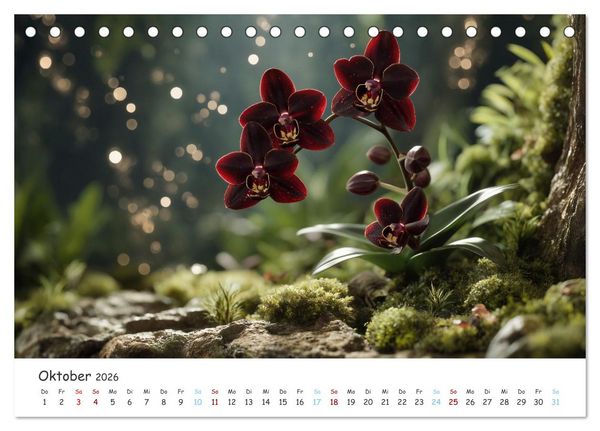 Produktbild: Im Schatten der Orchidee (Tischkalender 2026 DIN A5 quer), CALVENDO Monatskalender