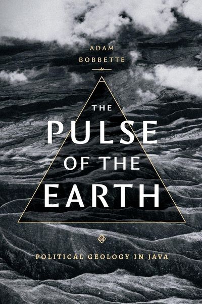 Produktbild: The Pulse of the Earth