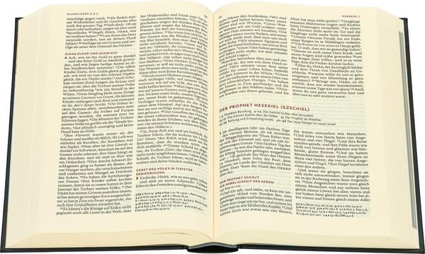 Produktbild: Lutherbibel revidiert 2017 - Gro&szlig;ausgabe