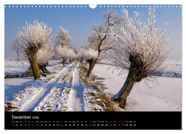 Produktbild: Dutch Landscapes: Alblasserwaard 2026 (Wall Calendar 2026 DIN A3 landscape), CALVENDO 12 Month Wall Calendar