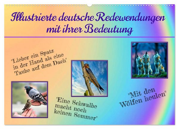 Produktbild: Illustrierte deutsche Redewendungen mit ihrer Bedeutung (Wandkalender 2026 DIN A2 quer), CALVENDO Monatskalender