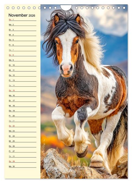 Produktbild: Zauber der Ponys. Kleine Pferde in der Natur (Wandkalender 2026 DIN A4 hoch), CALVENDO Monatskalender