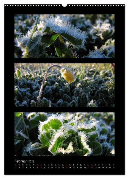 Produktbild: ZAUBERWELT DER BLUMEN - EISKRISTALLE & WASSERPERLEN (Wandkalender 2026 DIN A2 hoch), CALVENDO Monatskalender