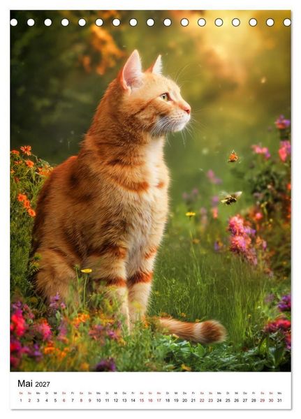 Produktbild: Feuer auf vier Pfoten - Die sch&ouml;nsten roten Katzen (Tischkalender 2027 DIN A5 hoch), CALVENDO Monatskalender