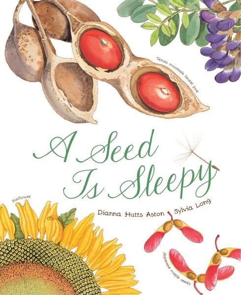 Produktbild: A Seed Is Sleepy