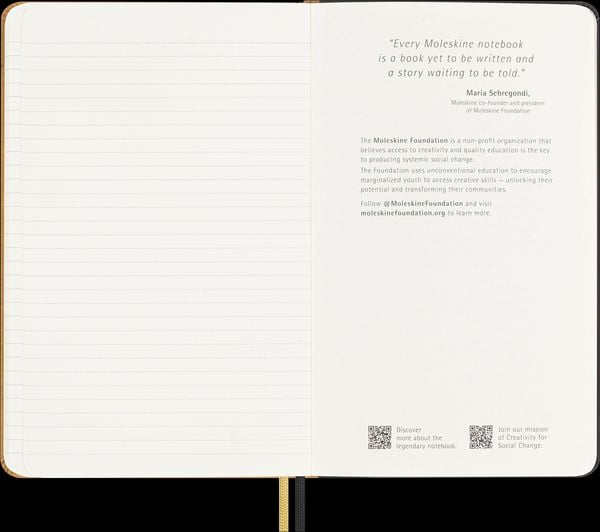 Produktbild: Moleskine Das Jahr des Drachen Notizbuch (Ahn Soo Sang), Large/A5, Liniert, Fester Einband