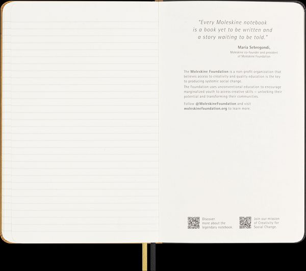 Produktbild: Moleskine Das Jahr des Drachen Notizbuch (Ahn Soo Sang), Large/A5, Liniert, Fester Einband