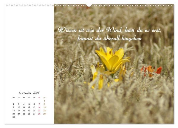 Produktbild: Innehalten in der Natur ... mit Weisheiten und Sprichworten der Indianer (hochwertiger Premium Wandkalender 2026 DIN A2 quer), Kunstdruck in Hochglanz