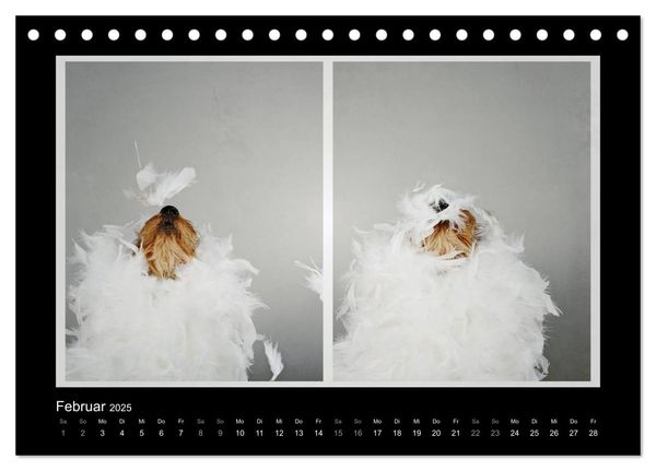 Produktbild: Elli Pirelli... aus dem Leben eines fr&ouml;hlichen Pinscher-Dackel-M&auml;dels (Tischkalender 2025 DIN A5 quer), CALVENDO Monatskalender