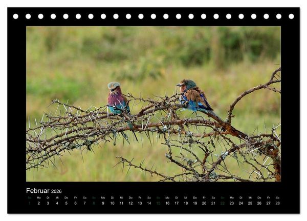 Produktbild: Wilde Tiere Afrikas (Tischkalender 2026 DIN A5 quer), CALVENDO Monatskalender