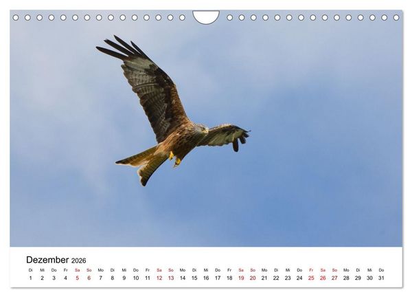 Produktbild: Wales Land der Sehensw&uuml;rdigkeiten, Landschaften und Natur (Wandkalender 2026 DIN A4 quer), CALVENDO Monatskalender