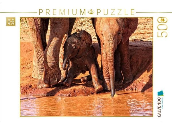 CALVENDO Puzzle Kleiner Elefant: Spielstunde und Neugier. Kenia | 500 Teile Lege-Größe 48 × 36 cm Foto-Puzzle für Erwachsene