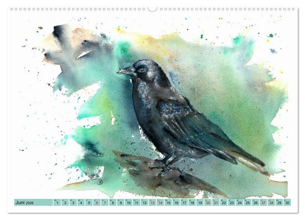Produktbild: Faszination V&ouml;gel im Aquarell - Expressionistische Kunst von Doris Kr&uuml;ger (Wandkalender 2026 DIN A2 quer), CALVENDO Monatskalender
