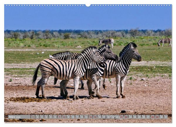 Produktbild: Namibia - Von Nord nach S&uuml;d (Wandkalender 2026 DIN A2 quer), CALVENDO Monatskalender