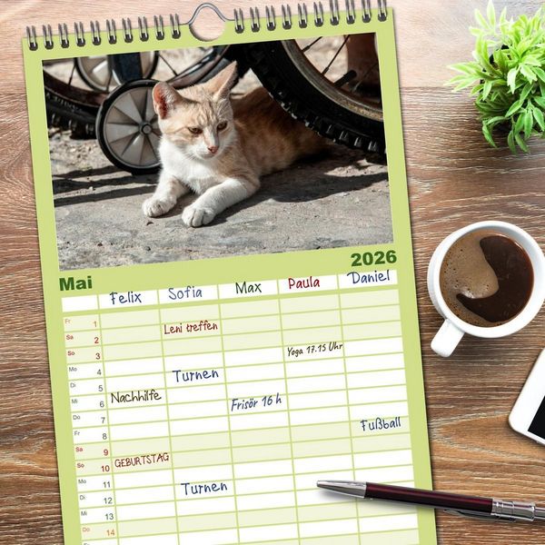 Produktbild: Familienplaner 2026 - Griechische Katzen mit 5 Spalten (Wandkalender, 21 x 45 cm) CALVENDO