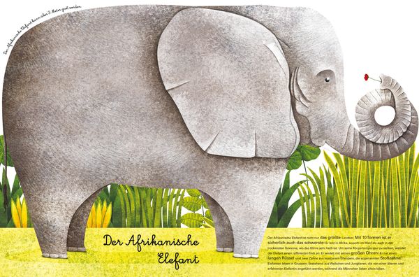 Produktbild: Das gro&szlig;e Buch der riesigen Tiere. Das kleine Buch der winzigen Tiere