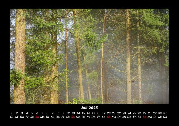 Produktbild: Waldzauber 2025 Fotokalender DIN A3